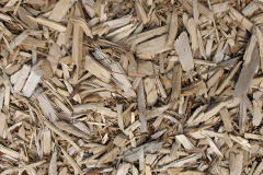 biomass boilers Seworgan